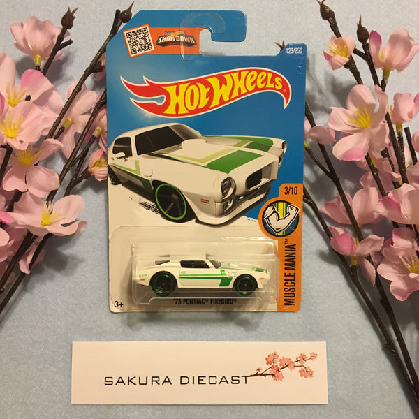 1/64 Hot Wheels ‘73 Pontiac Firebird